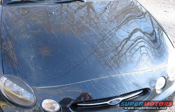 Car hood covered in scratches, reflections of trees visible