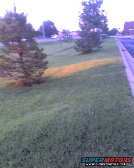 Grassy area with trees and a paved surface, with a distant building