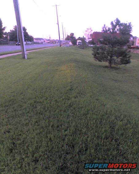 Suburban street with a road, sidewalk, grass, trees, and utility poles