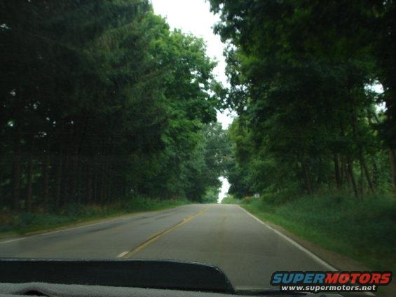 View from inside a car looking at the dashboard and a tree-lined road ahead