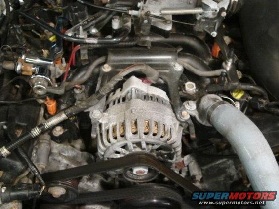 Engine bay with alternator, hoses, and wiring visible