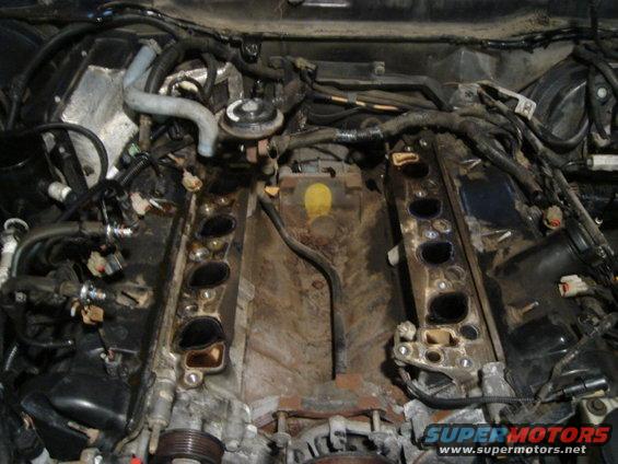 Engine bay showing intake ports and wiring harnesses with intake manifold removed