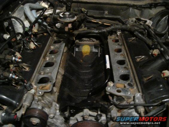 Engine bay with intake manifold removed, showing internal components and wiring