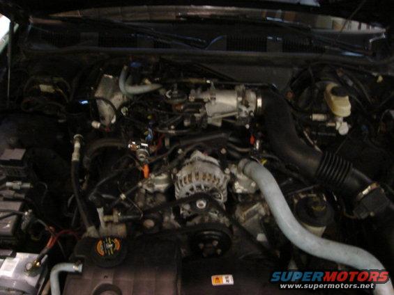 Engine bay of a 2000 Ford Crown Victoria, showing the V8 engine, alternator, and intake system
