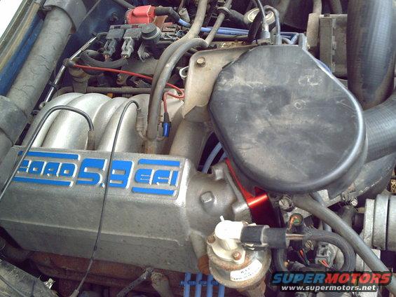 Close-up of a Ford 5.8L EFI engine with various hoses and electrical components visible