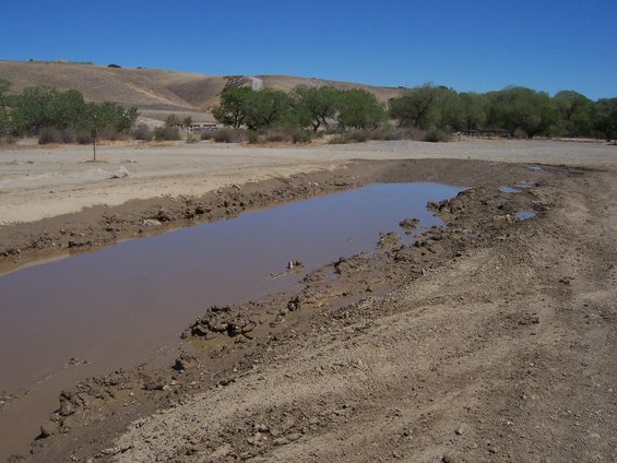 Muddy puddle on a dirt track with trees and hills in background