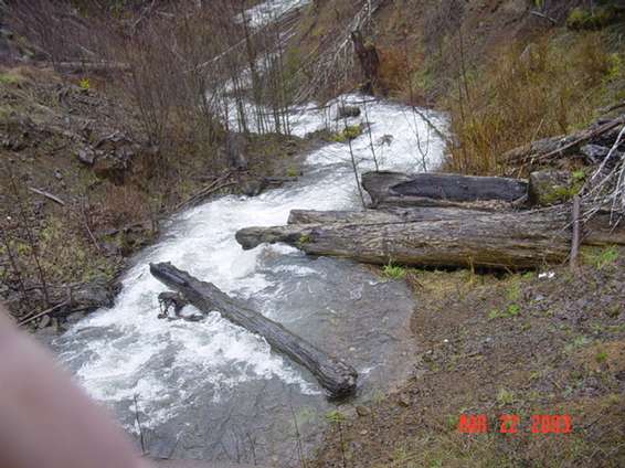 shultseys_run_32203_098.jpg A little scenery