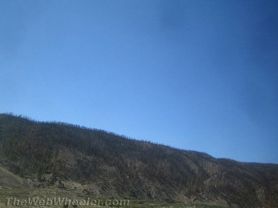 img_6105.jpg 