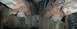 1992 Ford Bronco - this picture is of the left and right hand side of the front quarter pannel mounts on the frame. as you can see they are really rusted out,…