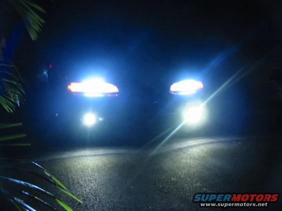 Car headlights shining brightly at night, with palm fronds in the foreground