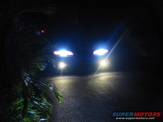 Car headlights shine brightly on a dark road, with palm fronds in the foreground