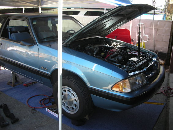 1990 Ford Mustang with hood open, showing engine bay. Car is light blue and on jack stands