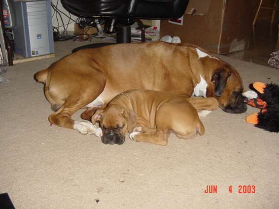 june_4th_003.jpg Sleeping