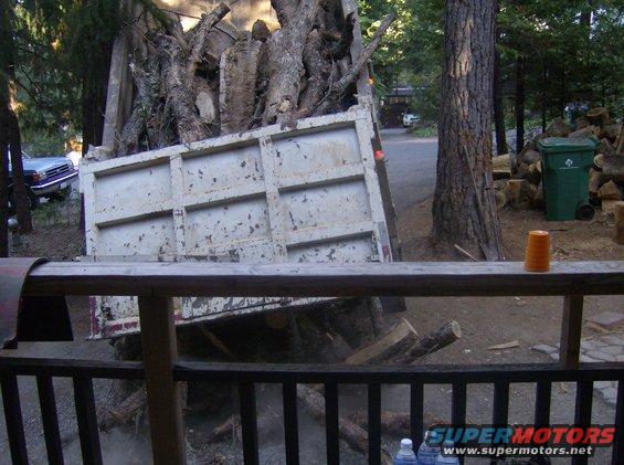 Dump truck with logs, a light-colored car in the background