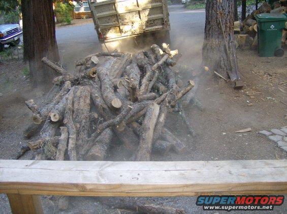 Dump truck emptying logs onto a pile, with a car visible to the left