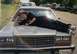 1987 Ford LTD Crown Victoria - I'm dead sexy