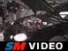 1997 Ford Taurus - My SHO on the Dyno.