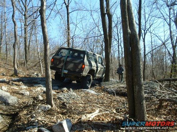 picture-016.jpg 
