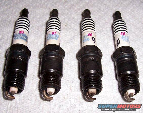Four Autolite Platinum spark plugs, numbered 8, 7, 6, and 5