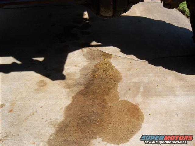 Fluid leak on concrete driveway under a vehicle's undercarriage