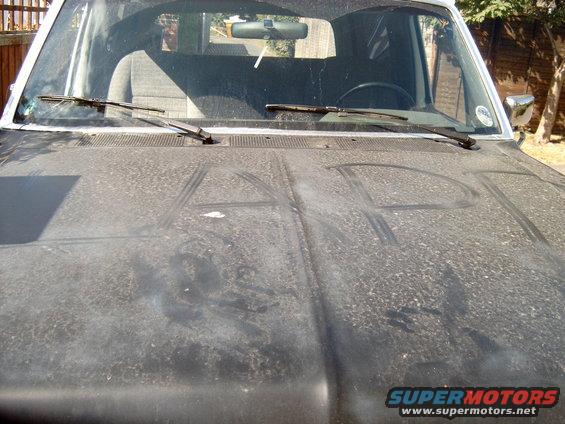 s4100047.jpg some joker wrote lapd on my hood overnight!!!