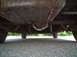 1956 Ford Thunderbird