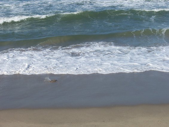 Waves rolling onto a sandy beach
