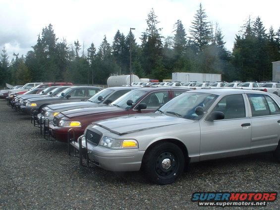 New 2007 Crown Victorias