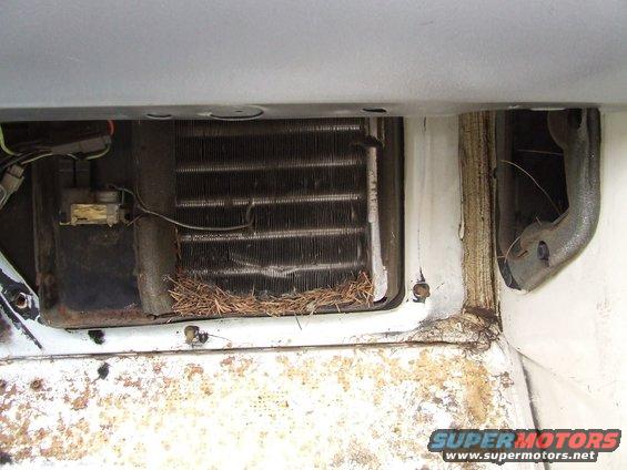 close-up of a dirty vehicle AC evaporator core with debris