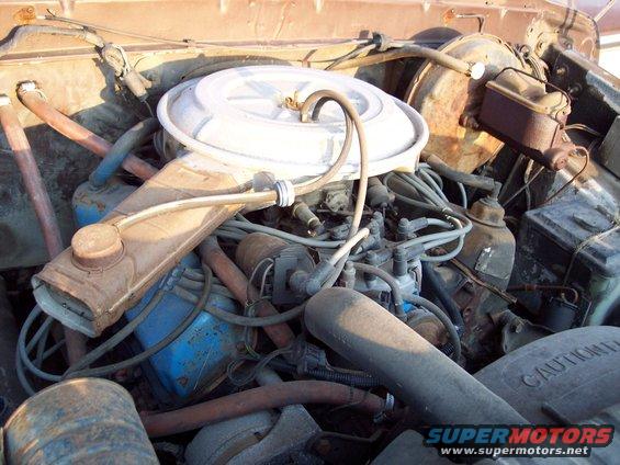 Engine bay with air cleaner, carburetor, distributor, and brake fluid reservoir visible