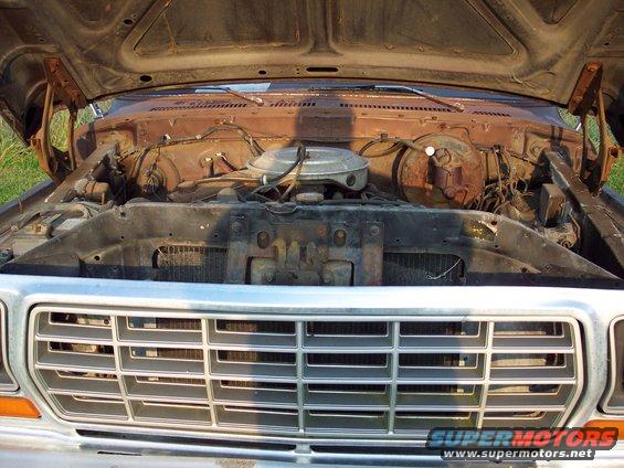 1978 Ford F-250 engine bay with hood open, showing engine and grille