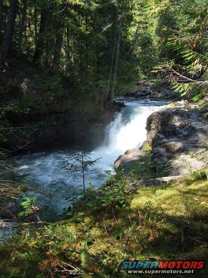 waterfall cascading over rocks in a dense forest with mossy ground