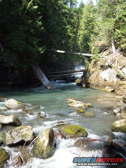 Rocky river flowing through a dense forest with fallen logs