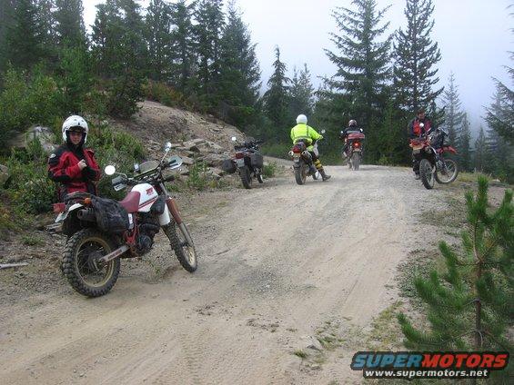Group of motorcycles and riders on a dirt road in a forested, mountainous area