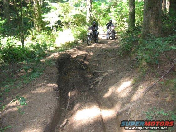 Two dirt bikes on a wooded trail