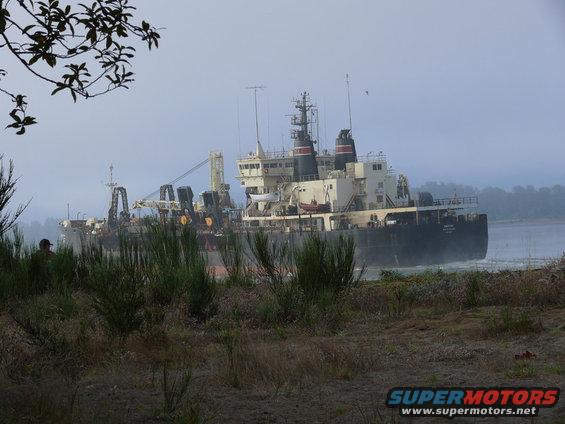 Big ship moving on water, seen from shore with bushes in foreground