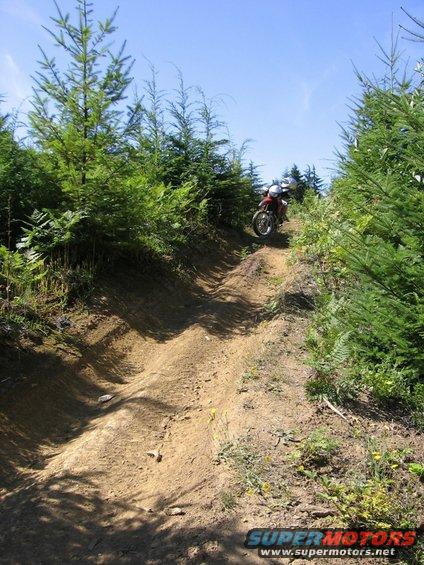 Motorcycle on a dirt path through trees