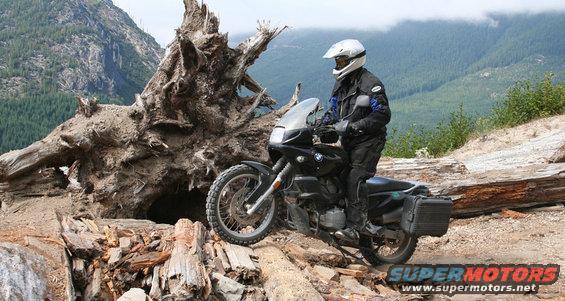 Motorcycle rider on a dirt path next to a large tree root