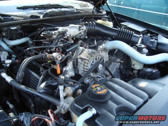 2000 Ford Crown Victoria engine bay with V8 engine, alternator, and hoses visible