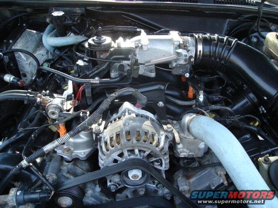 Engine bay with alternator, intake manifold, and various hoses and wires