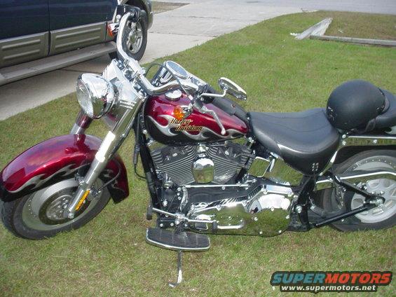 Harley-Davidson motorcycle with red flames on the tank and fender, parked on grass