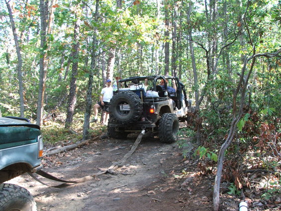bronco-winchng-6.jpg 