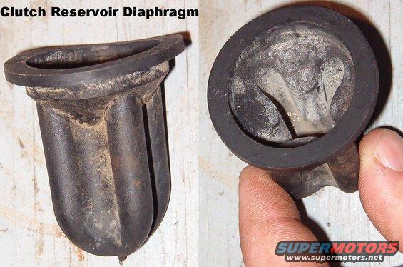clutchresdiaphragm.jpg The mythical, elusive diaphragm.  Many people don't realize that this MUST be removed before checking/adding brake fluid to the clutch master cylinder reservoir.  So it can often be found full of fluid above an empty reservoir.

The inside if this diaphragm should be DRY, and the fluid should reach the step molded into the wall of the master cylinder reservoir.

[url=http://www.supermotors.net/registry/media/259276_1][img]http://www.supermotors.net/getfile/259276/thumbnail/servicepointsgas.jpg[/img][/url] . [url=http://www.supermotors.net/registry/media/244877][img]http://www.supermotors.net/getfile/244877/thumbnail/clutch-concslave.jpg[/img][/url]