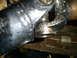 1994 Ford F-250 - Underside view of a vehicle's driveshaft U-joint, showing wear and tear.