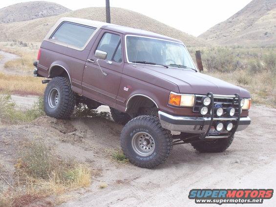 bronco w/ a little flexing 2
