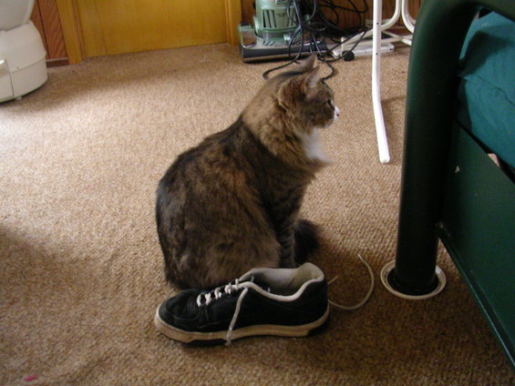 dscn3143.jpg 