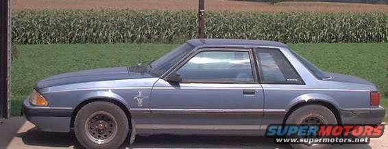 bluestang1.jpg 