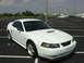 1999 Ford Mustang