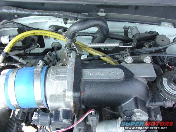 stang-009.jpg 