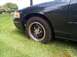 1998 Ford Crown Victoria photo